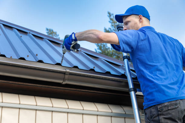 Best Roof Moss and Algae Removal  in Ridley Rk, PA