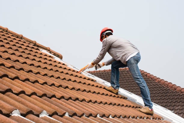 Professional Roofing and installation in Ridley Park, PA